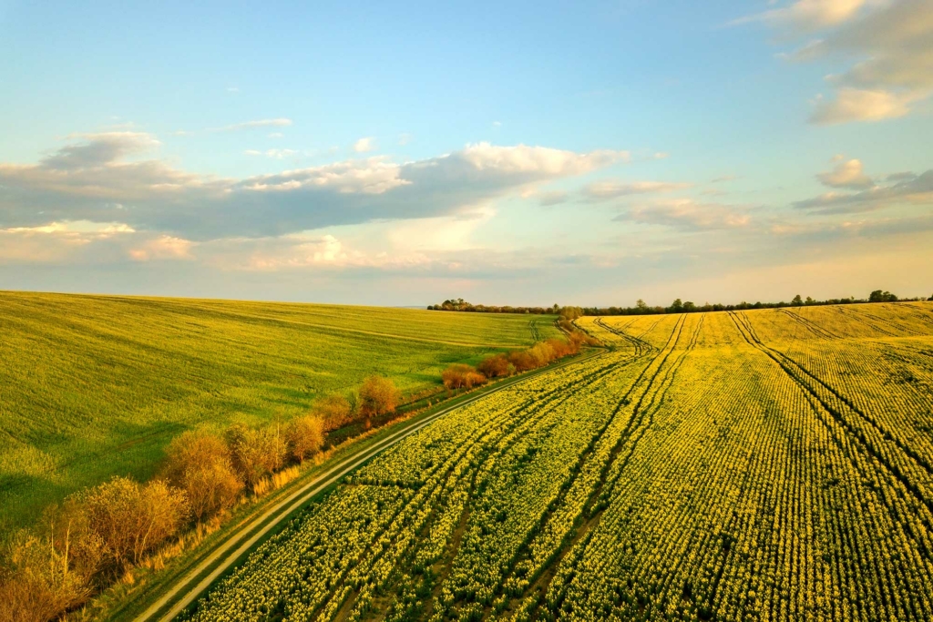 Equestrian Land